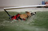 PISCINE A JET - WHIPPET 051